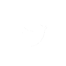 Twitter Icon